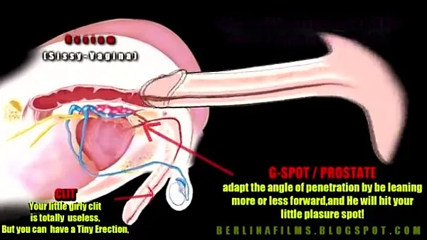 Gran anatomia transexual tubo total