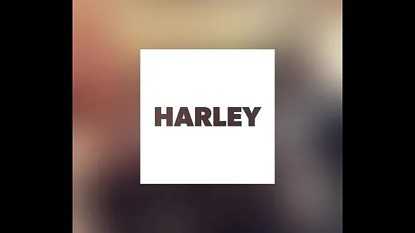 大HARLEY总管