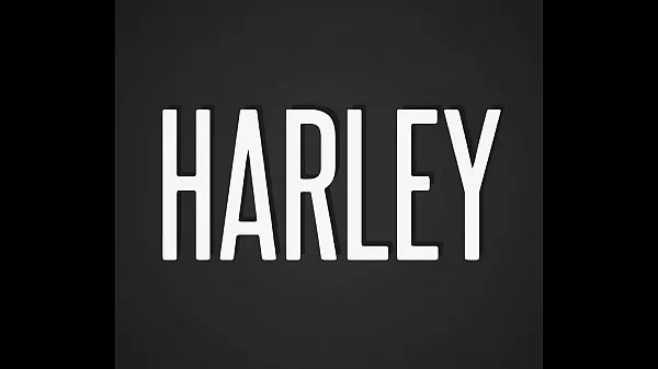 大HARLEY 1总管