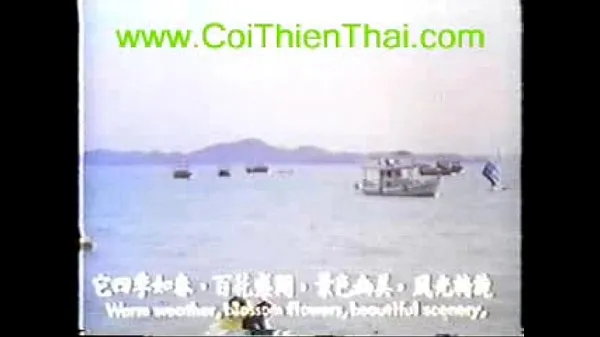 Gros Mon Nhan Dao 1 Tube total