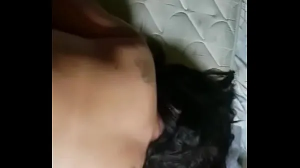 Grande Eu dou uma caixa para minha mãe cachorrinha tubo total