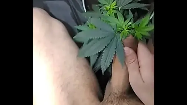 Grande d. gay jerking off for a plant tubo total